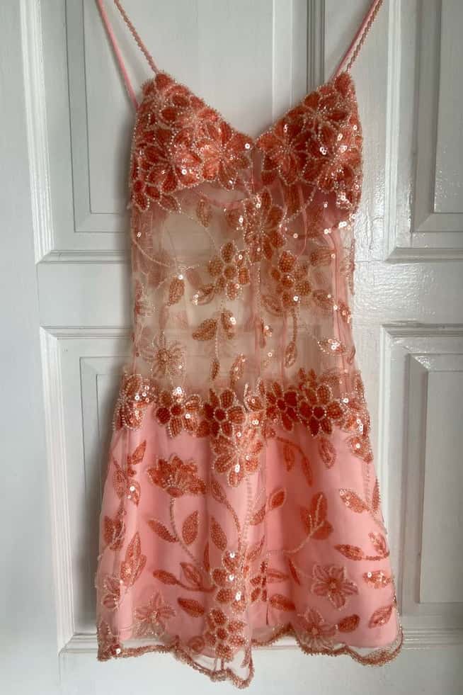Pink Beaded Sheer Fitted Short Dress