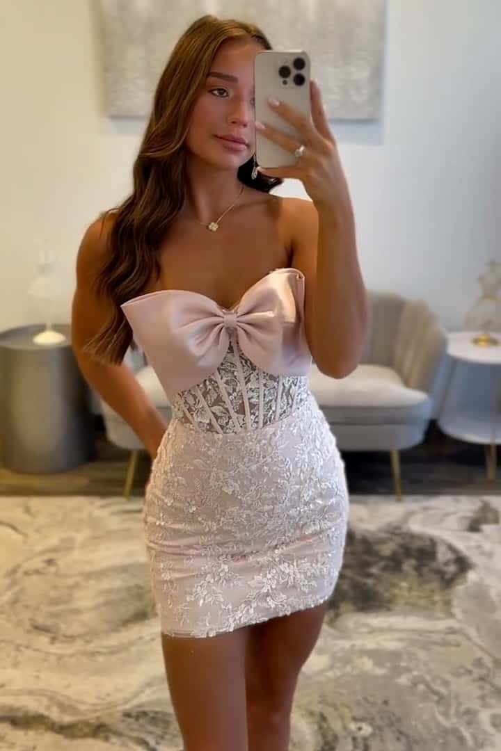 Tight Pink Sheer Appliques Bow Mini Dress