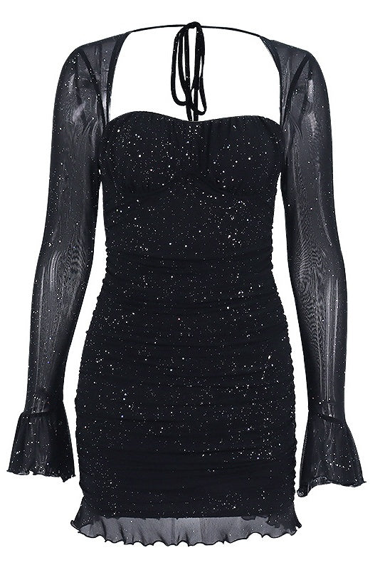 Mesh Long Sleeve Sequin Dress