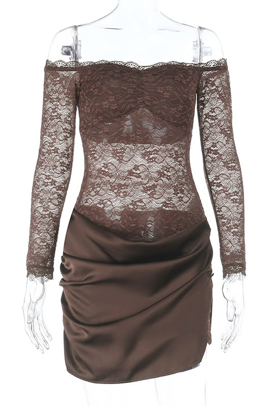 Sheer Mesh Long Sleeves and Waist Dress